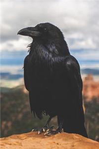 The Call of the Crow Notebook