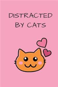 Distracted by Cats