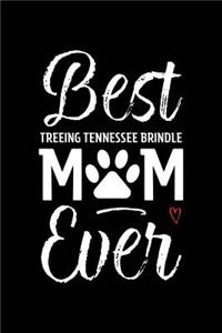 Best Treeing Tennessee Brindle Mom Ever