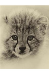Baby Cheetah Notebook
