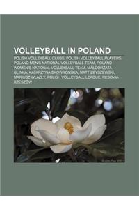 Volleyball in Poland