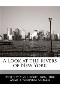 A Look at the Rivers of New York