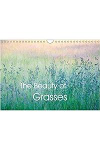Beauty of Grasses 2018