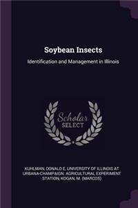 Soybean Insects