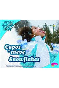 Copos de Nieve/Snowflakes