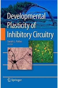 Developmental Plasticity of Inhibitory Circuitry