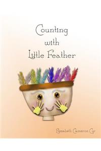 Counting with Little Feather