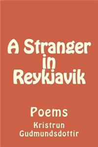 A stranger in Reykjavik