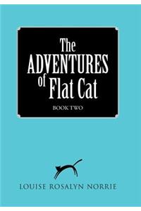 ADVENTURES of Flat Cat