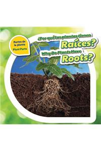 ¿Por Qué Las Plantas Tienen Raíces? / Why Do Plants Have Roots?