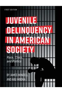 Juvenile Delinquency in American Society