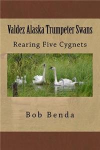 Valdez Alaska Trumpeter Swans