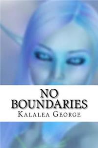 No Boundaries: The Fae Wars