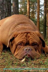French Mastiff (Dogue de Bordeaux) Affirmations Workbook French Mastiff (Dogue de Bordeaux) Presents