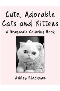 Cute, Adorable Cats and Kittens