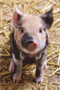 Piglet on a Pig Farm Journal
