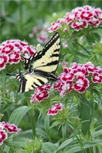 Sweet William Flowers and a Butterfly Summer Garden Journal