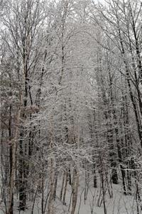 Woods Scenic Winter Photo Journal