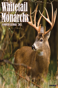 Whitetail Monarchs (Deer) 2026 12 X 12 Wall Calendar
