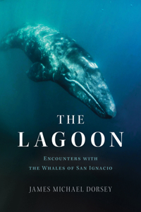 Lagoon