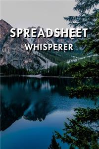 Spreadsheet Whisperer
