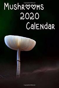 Mushrooms 2020 Calendar