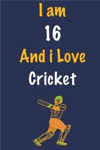 I am 16 And i Love Cricket