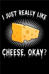 I Just Really Like Cheese Okay?