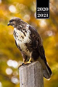 Falcon Hawk Bird Watching Ornithology Week Planner Weekly Organizer Calendar 2020 / 2021 - On the Trunk