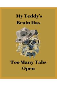 My Teddy's Brain Has Too Many Tabs Open