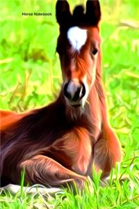 Horse Notebook