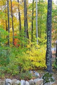 2020 Weekly Planner Pretty Autumn Landscape 134 Pages