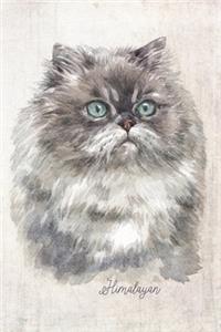 Himalayan Cat Portrait Notebook