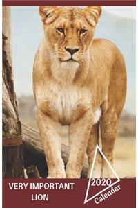 Very Important Lion