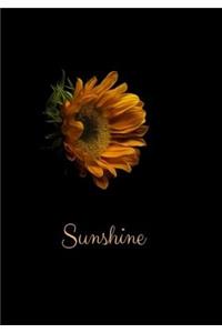 Sunshine