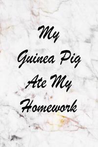 My Guinea Pig Ate My Homework