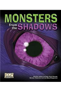 KS2 Monsters from the Shadows Reading Book