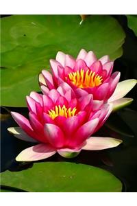 Water Lilies Notebook