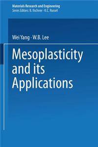 Mesoplasticity and Its Applications