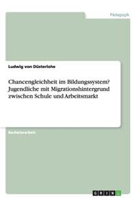 Chancengleichheit im Bildungssystem? Jugendliche mit Migrationshintergrund zwischen Schule und Arbeitsmarkt