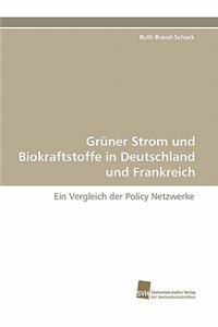 Gruner Strom Und Biokraftstoffe in Deutschland Und Frankreich