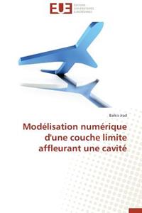Modélisation Numérique d'Une Couche Limite Affleurant Une Cavité