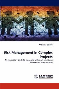 Risk Management in Complex Projects