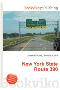 New York State Route 390