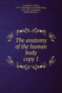 anatomy of the human body