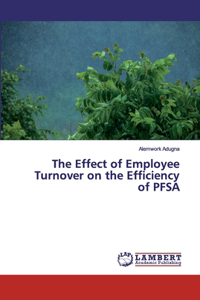 Effect of Employee Turnover on the Efficiency of PFSA