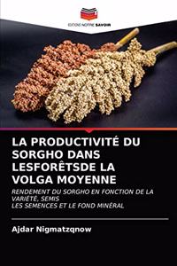 Productivité Du Sorgho Dans Lesforêtsde Lavolga Moyenne