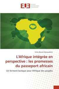 L'Afrique intégrée en perspective