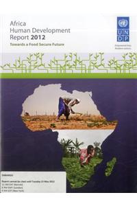 Africa human development report 2012