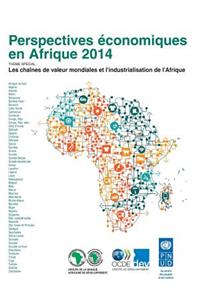 Perspectives Economiques En Afrique 2014